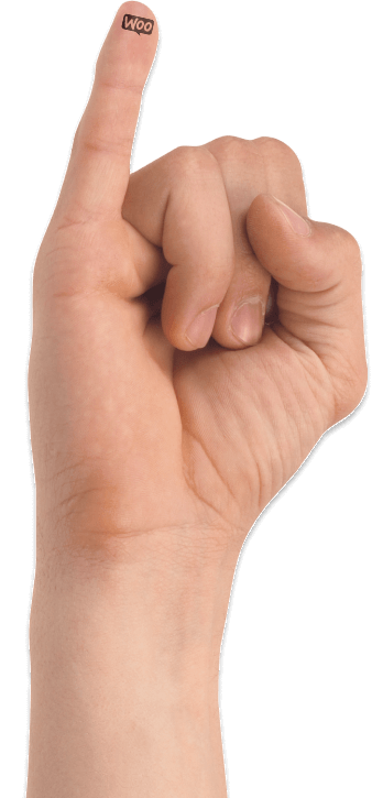 We know WooCommerce like a back of our hands