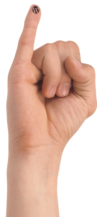 We know WordPress like a back of our hands